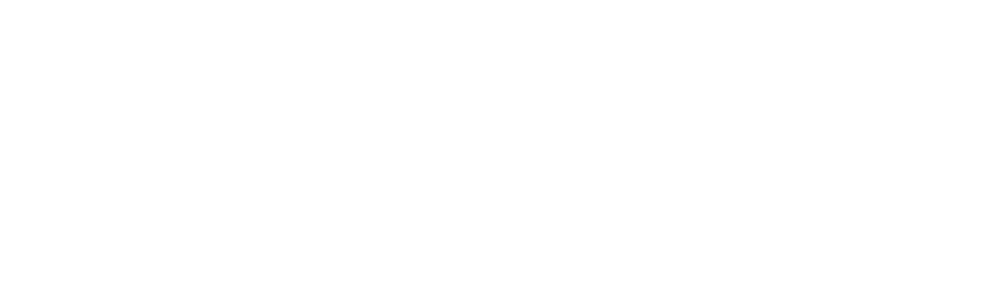 Dr. Celina logo on Elido font